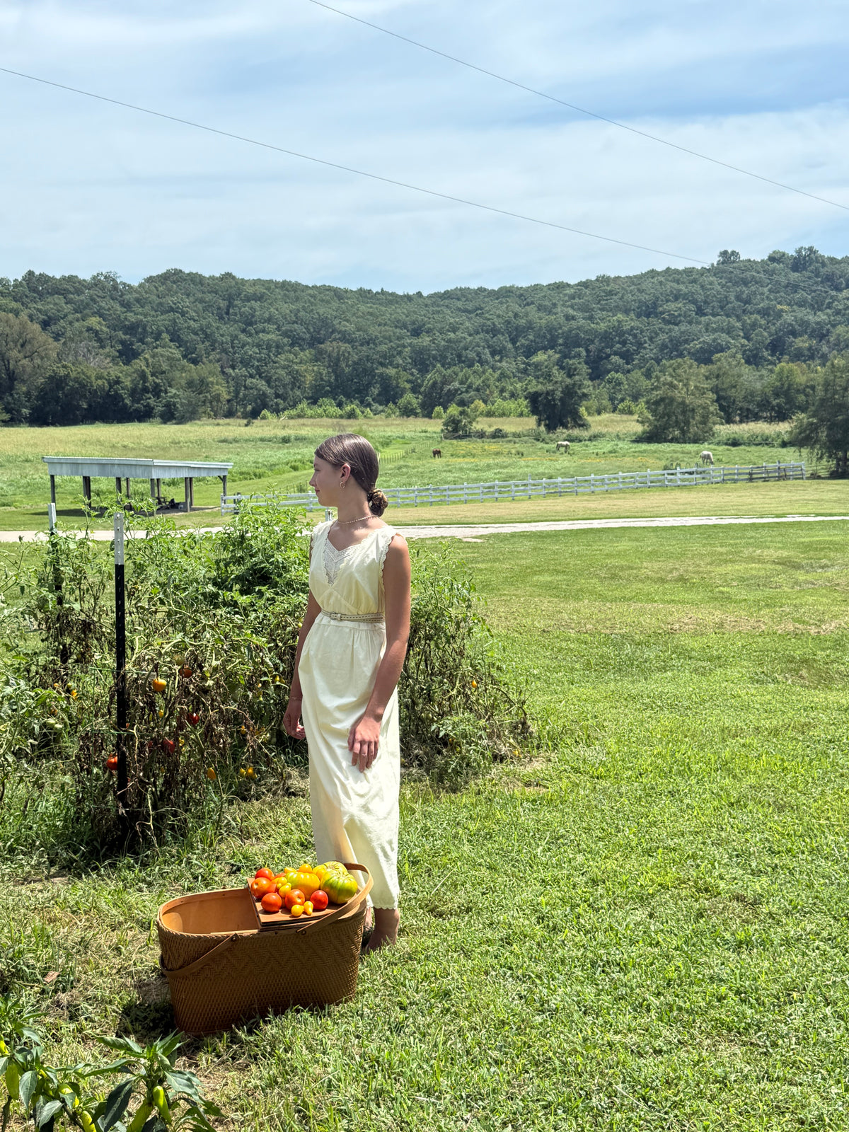 The Effortless Dress - Butter
