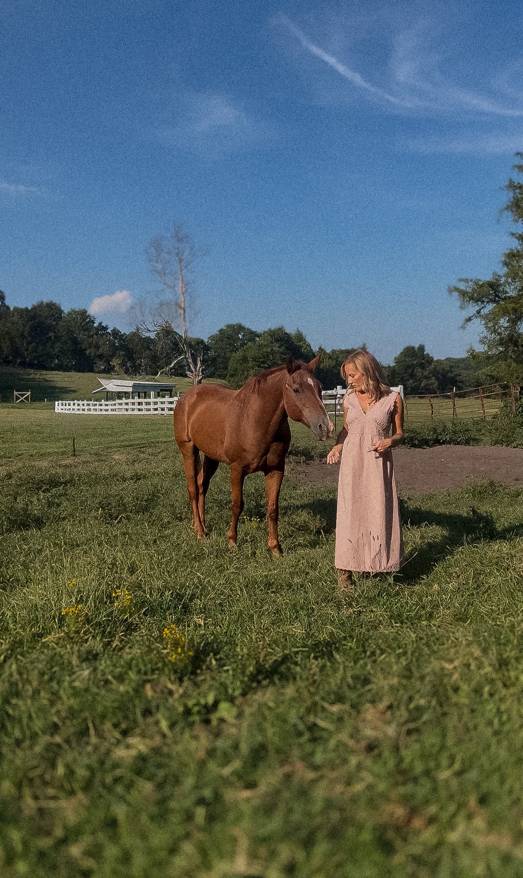 The Effortless Dress - Mauve