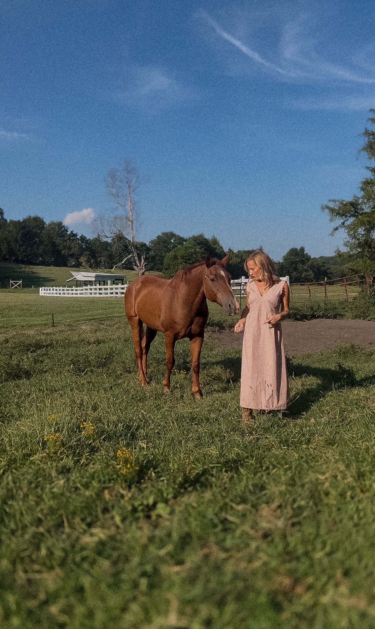 The Effortless Dress - Mauve