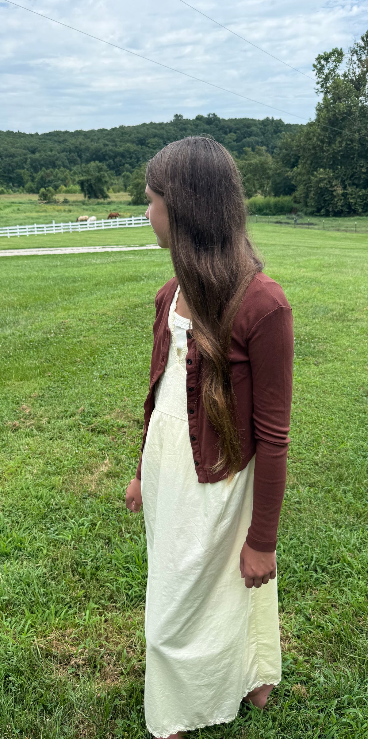 Classic Cardigan - Walnut