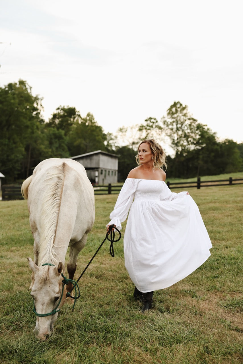 The Camielle Dress- Porcelain Mommy + Me Sizes