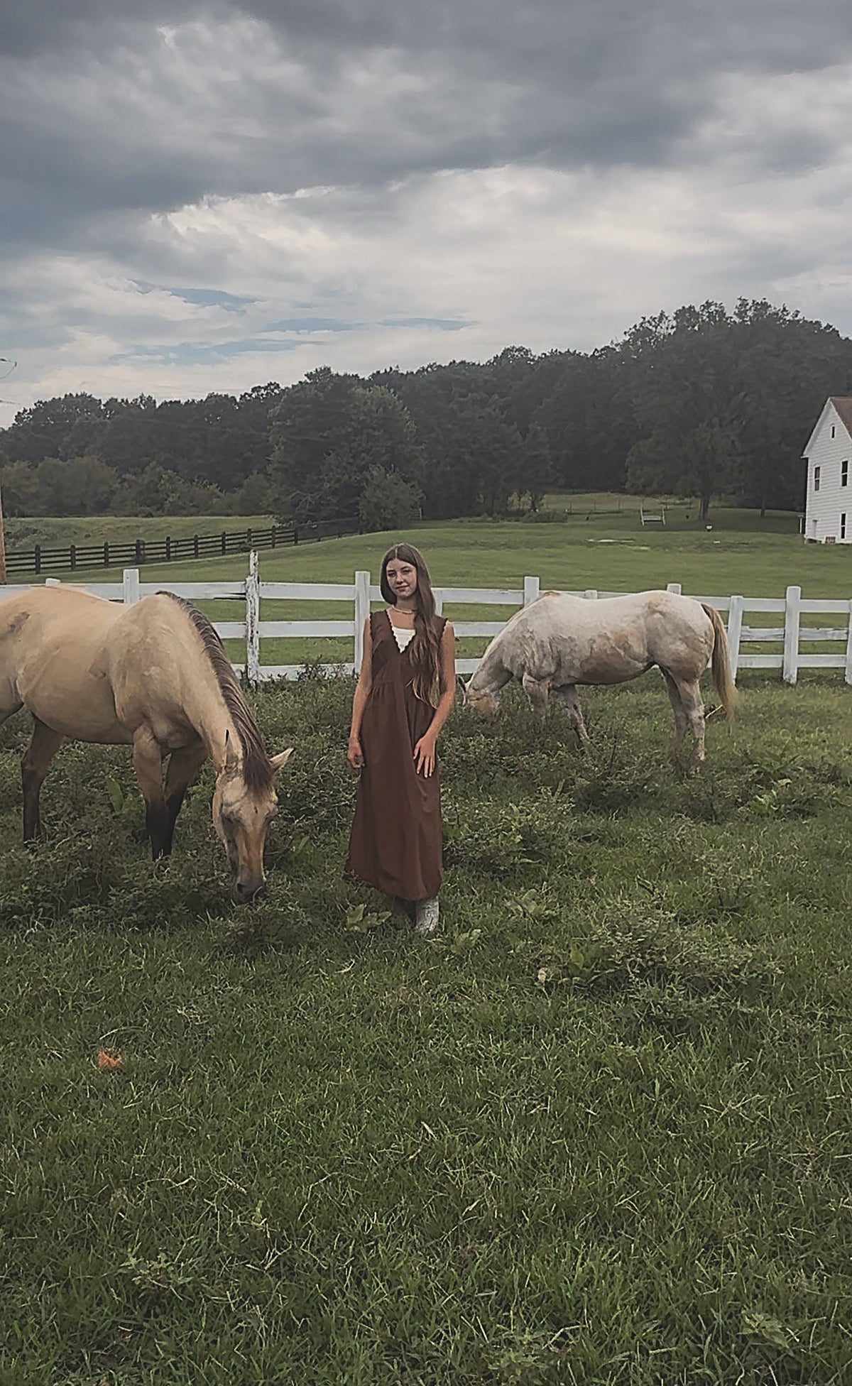 The Effortless Dress - Sepia