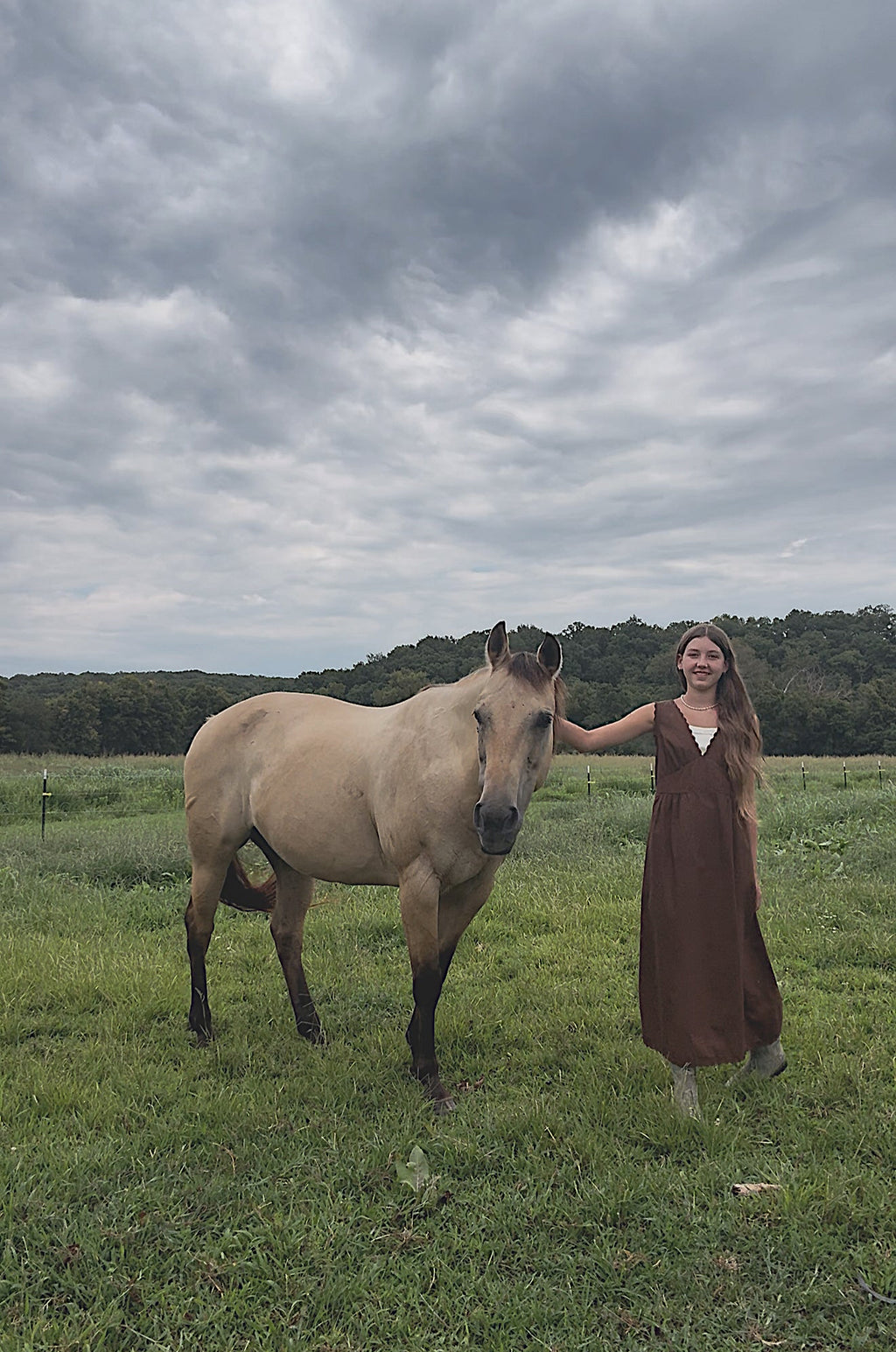 The Effortless Dress - Sepia
