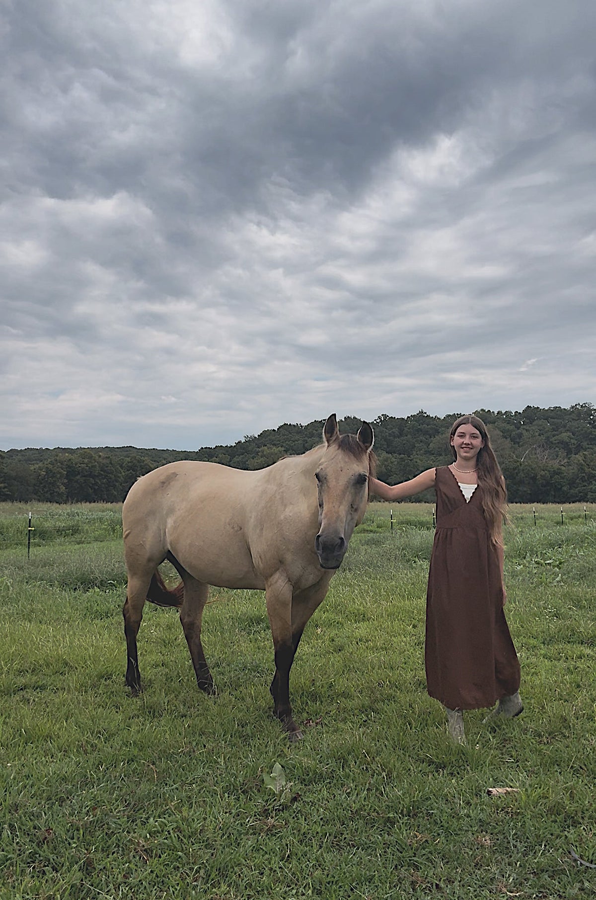 The Effortless Dress - Sepia